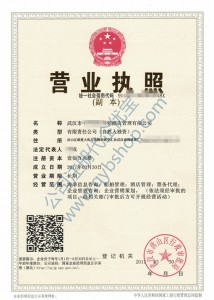 酒店管理类公司